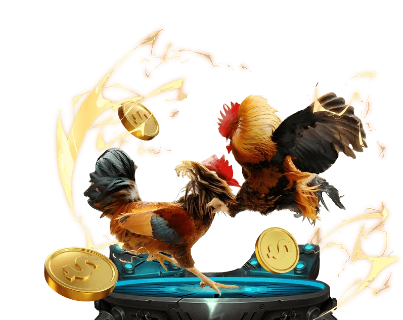 123b bettop Cam kết